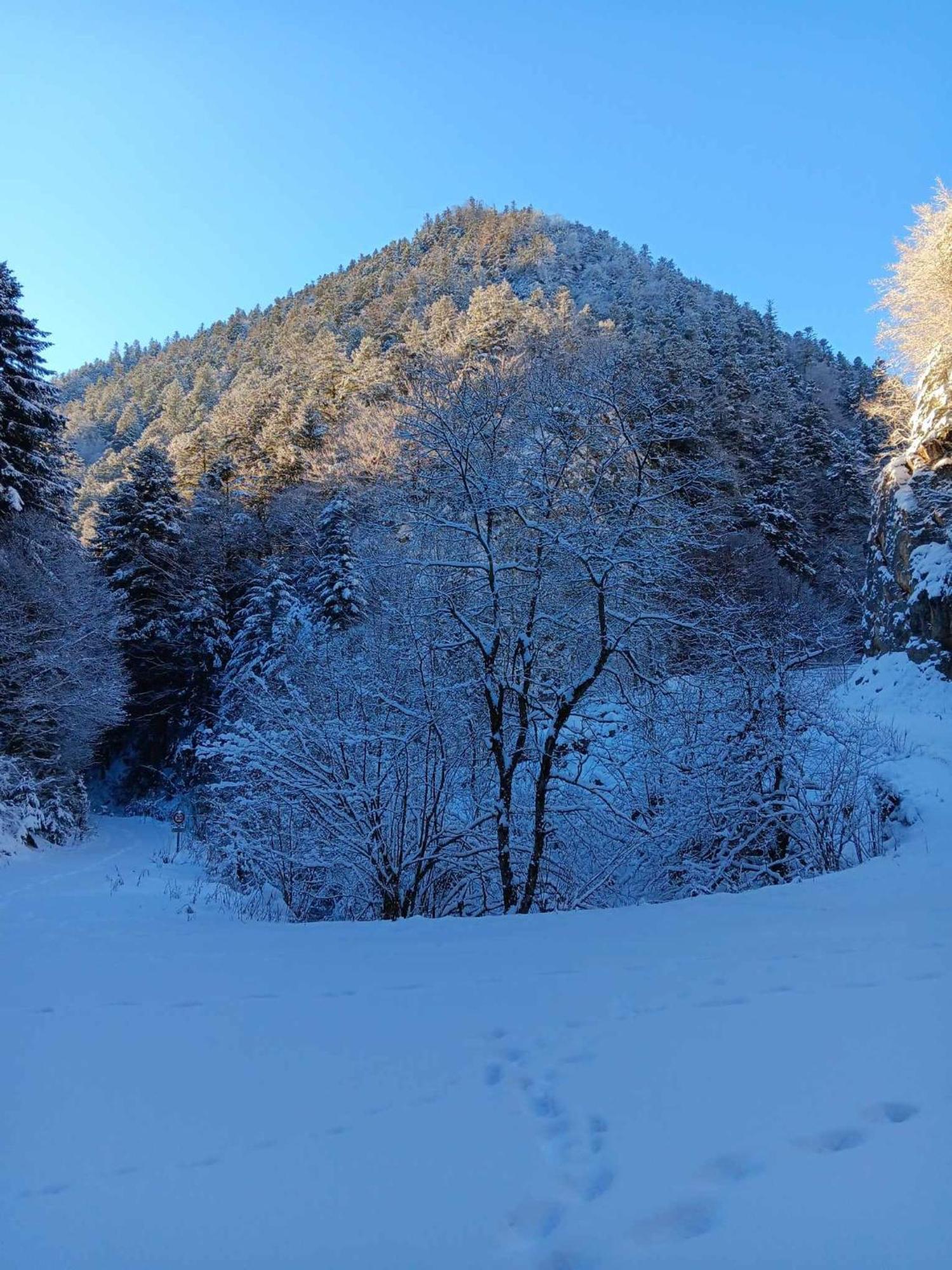 Le Castel D'Olmes Hotel Laroque-d'Olmes ภายนอก รูปภาพ